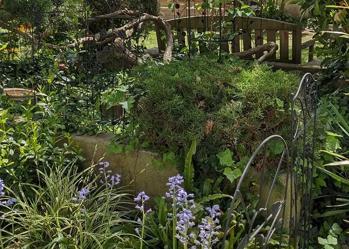 Le Petit Parc Appartamento